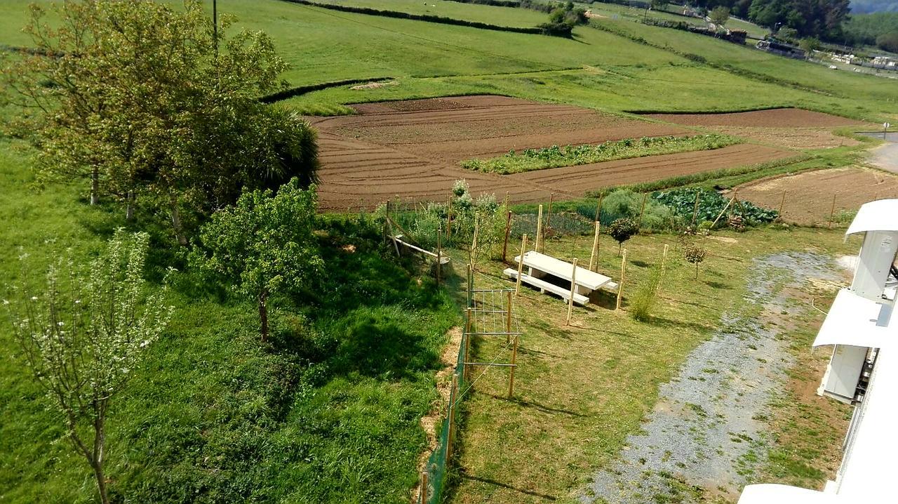 Albergue Montoto Melide Kültér fotó
